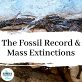 The Rock Files - Rock Cycle & Strata, Fossil Record, Mass 