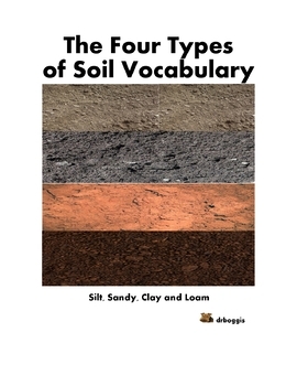 Preview of The Four Types of Soil Vocabulary Cards-To Reach the Needs of Every Learner