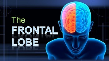 Preview of The Frontal Lobe - Brain Games (Powerpoint & 3 Games)
