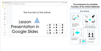 Preview of The Function of Words: The Article Google Slides Presentation and Printable