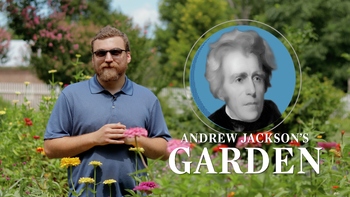 Preview of The Gardens at Andrew Jackson's Hermitage - Video Lesson & Worksheet