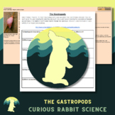 The Gastropods: Reading and Extended Response Questions
