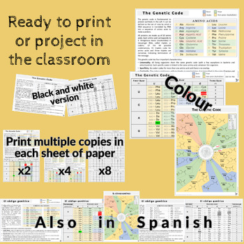 Preview of The Genetic Code (Colour, Black and White) - Also in Spanish