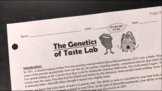The Genetics of Taste Lab (pg314)
