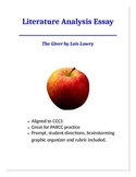 The Giver- Literature Analysis Essay