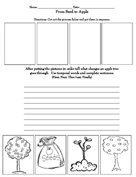 "The Giving Tree" Comprehension Activities and 2 ...