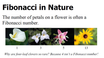 Fibonacci Sequence Explains Why Four-Leaf Clovers Are So Rare