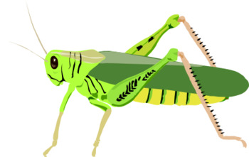 Preview of The Grasshopper Song