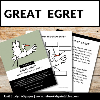 Preview of Great Egret | Unit Study (Animal) Bird Life Cycle | Enlarged Fonts & Images