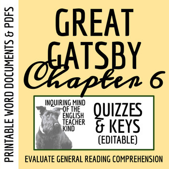 Preview of The Great Gatsby Chapter 6 Quiz and Answer Key (Printable)