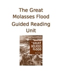 The Great Molasses Flood Informational Text Guided Reading
