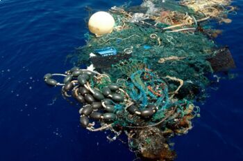 Preview of The Great Ocean Garbage Patch