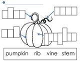 The Great Pumpkin Reading, Math and Science Mini Unit