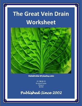 Preview of The Great Vein Drain Worksheet - Blood Vessel Mapping Activity