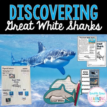Preview of The Great White Shark Research Unit with PowerPoint