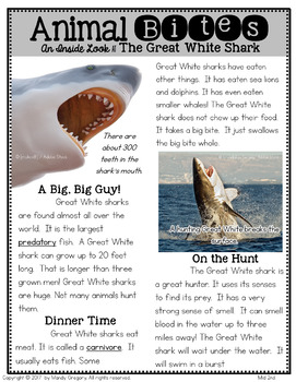 The Great White Shark: Teaching Main Idea and Text Features by Mandy