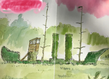 Preview of The Green Ship by Quentin Blake