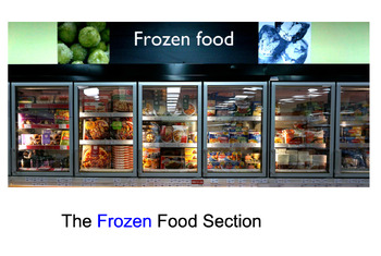 Preview of The Grocery Store - The Frozen Food Section