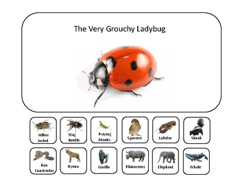 Preview of The Grouchy Ladybug Adapted Animal Book