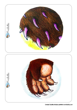 The Gruffalo - Body Parts Flashcards by Mambiatka | TpT
