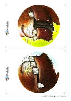 The Gruffalo - Body Parts Flashcards by Mambiatka | TpT