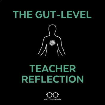 Preview of The Gut-Level Teacher Reflection