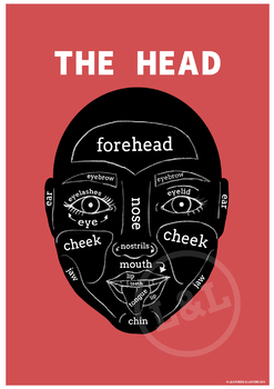Preview of The HEAD Poster, classroom decoration, art, English vocabulary, EFL/ESL/ELL