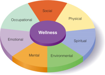 Preview of The Health and Wellness wheel.
