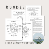 The Heart/ Blood Flow Through the Heart Bundle | Activity 