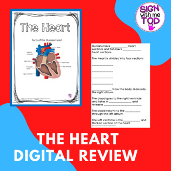 Preview of Circulatory System - The Heart Digital Vocabulary - Adapted Review FREEBIE