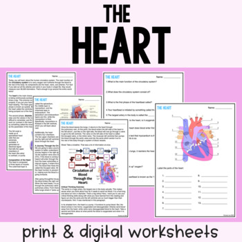 Preview of The Heart - Reading Comprehension Worksheets