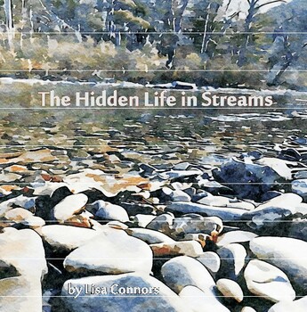 Preview of The Hidden Life in Streams