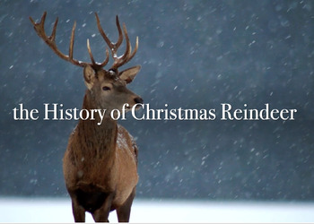 History of Christmas Reindeer - PowerPoint Lesson & Activities  TPT