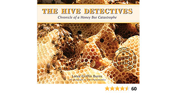 Preview of The Hive Detectives- Inside the Hive- Honey Bee Interview (simulation)