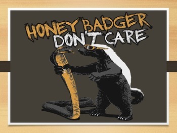 Preview of Mammals- The Honey Badger