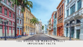 Preview of The House on Mango Street Important Facts PowerPoint