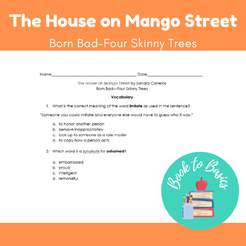 Preview of The House on Mango Street-Sandra Cisneros Reading Questions by Story