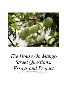 Preview of The House on Mango Street Discussion Guide, Essay Questions, and Writing Project