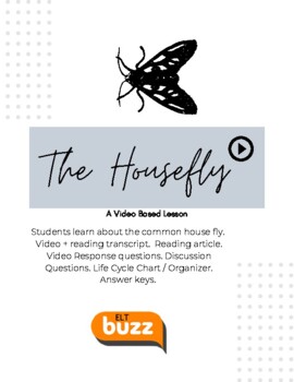 Preview of The Housefly. Video. Life Cycle. Reading. Transcript. Insects. Discussion