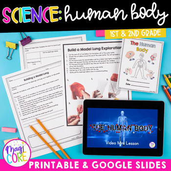 Preview of Human Body Systems & Organs Activities Worksheets 1st 2nd Grade Science Unit