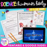 Human Body Systems & Organs Activities Worksheets 1st 2nd 