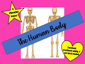 Preview of The Human Body