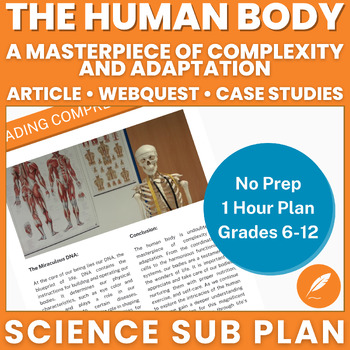 Preview of Human Body: Healthy Organs & Systems. How the Body Works (NO PREP) Activities++