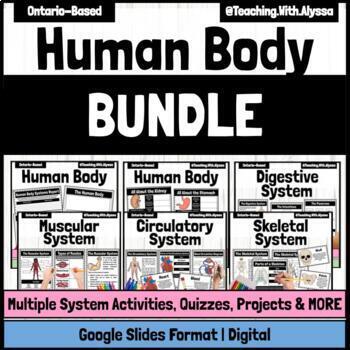 Preview of Human Body Activities BUNDLE | Systems Research and Projects | Google Slides