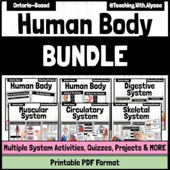 Preview of The Human Body Activities BUNDLE | Systems Research and Projects