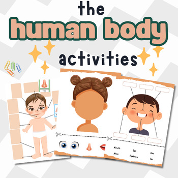 Preview of The Human Body Activities-Parts of the Body Game- Toddler Busy Book Science Body