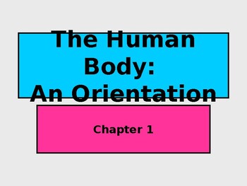 Preview of The Human Body: An Orientation