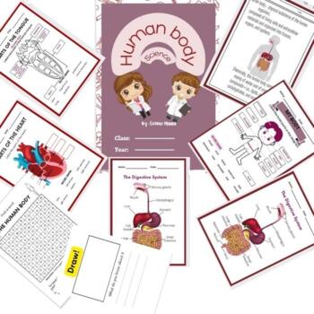 Preview of The Human Body  Anatomy - Kindergarten and First Grade Science