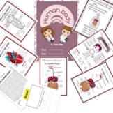 The Human Body  Anatomy - Kindergarten and First Grade Science