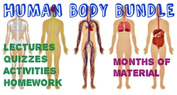 Preview of 2 MONTH Human Body Systems Bundle: PowerPoints, Quizzes, Homework, Activities